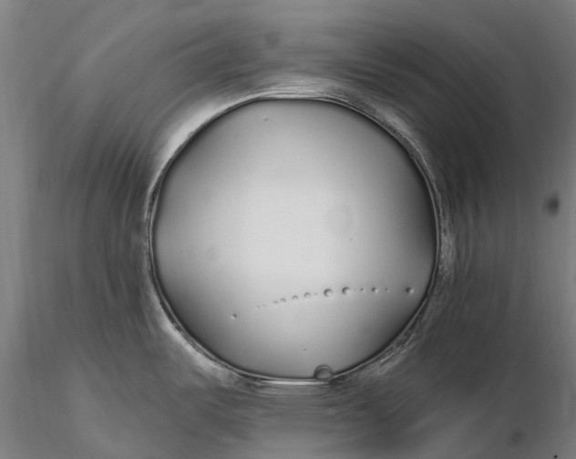 X0000115691487200912031431