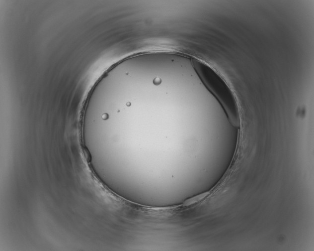 X0000115691488200912031431