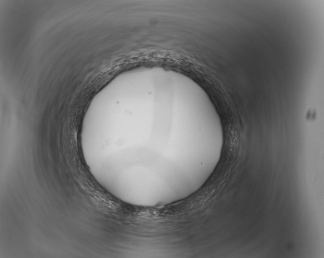 X0000115691489200912031430