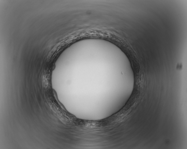 X0000115691490200912031430