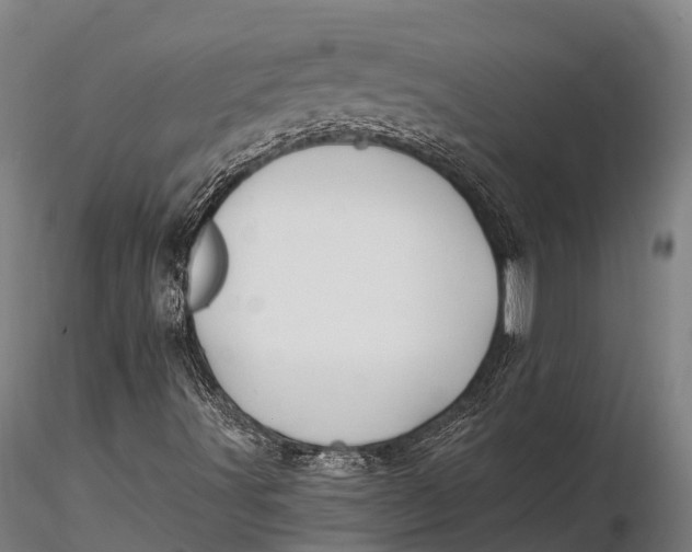 X0000115691491200912031430