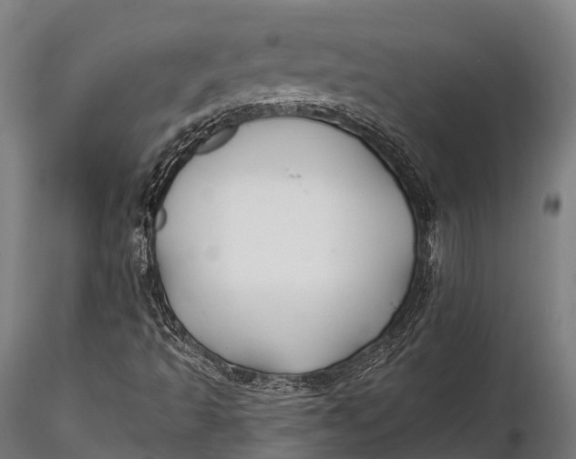 X0000115691493200912031430