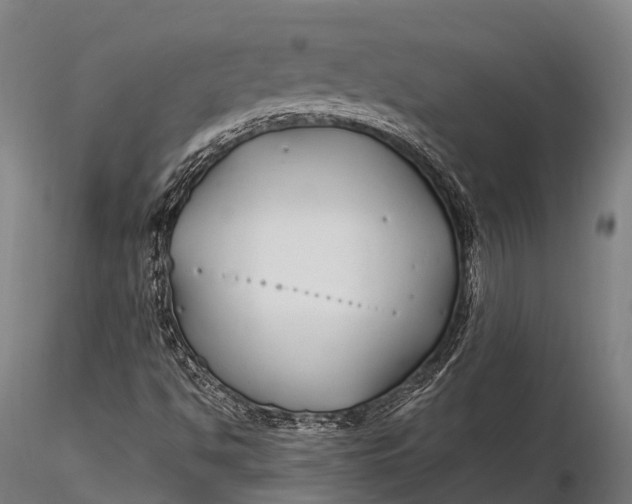 X0000115691494200912031430