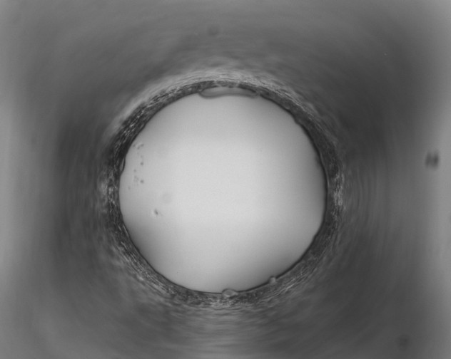 X0000115691495200912031430