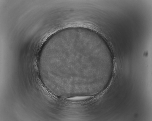 X0000115691497200912031430