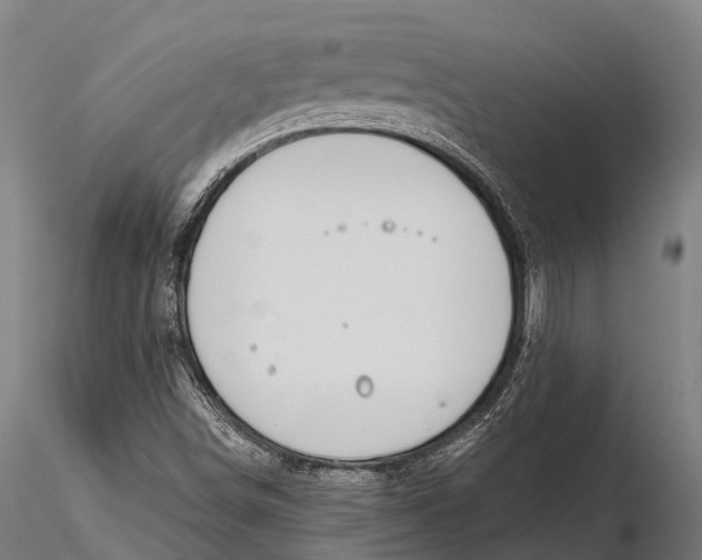 X0000115691498200912031430