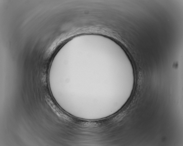 X0000115691499200912031430