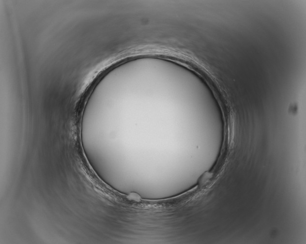 X0000115691501200912031430