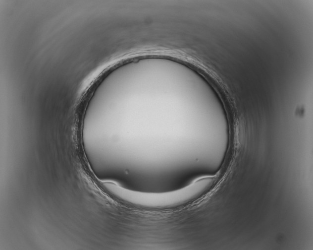 X0000115691502200912031430