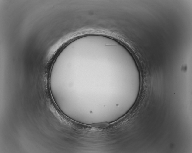 X0000115691503200912031430