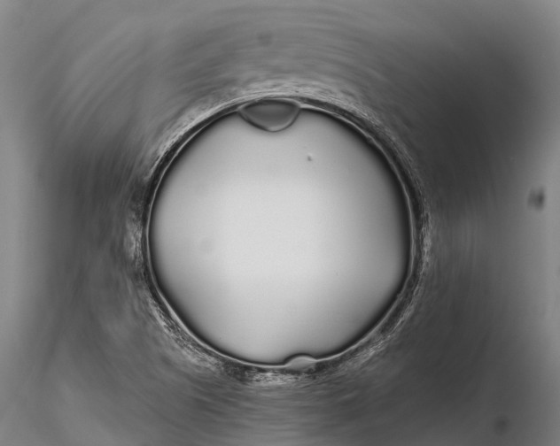 X0000115691505200912031430