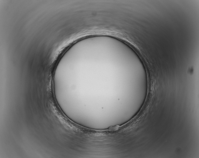 X0000115691507200912031430