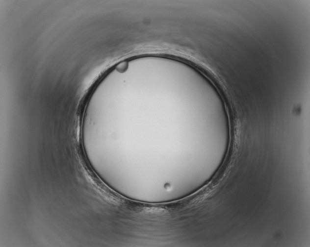 X0000115691509200912031430