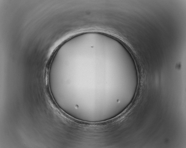 X0000115691510200912031430