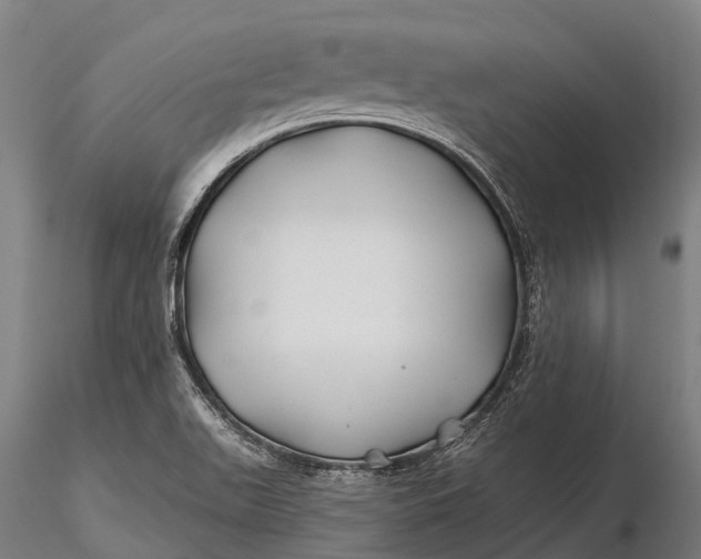 X0000115691511200912031430