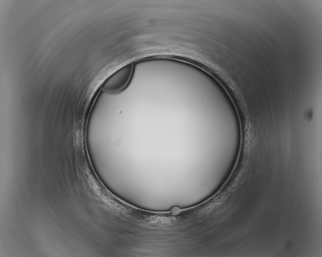 X0000115691513200912031430