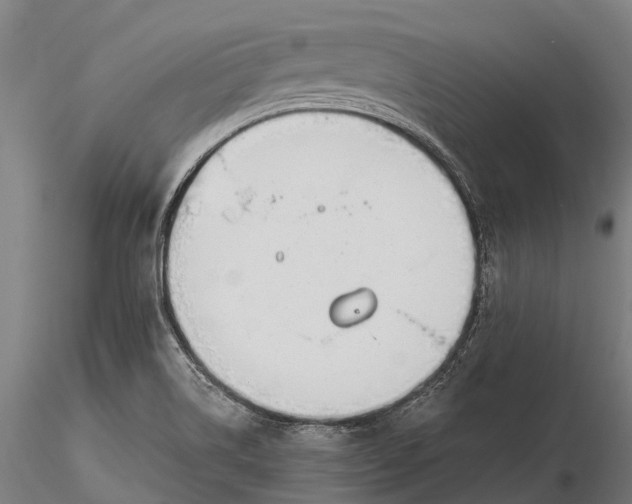 X0000115691514200912031430