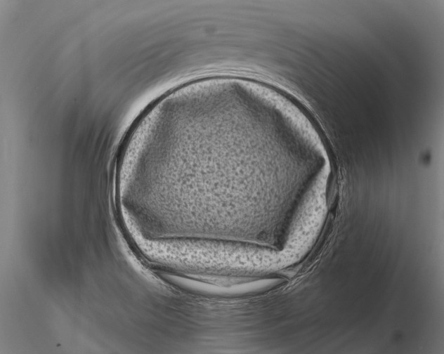 X0000115691515200912031430