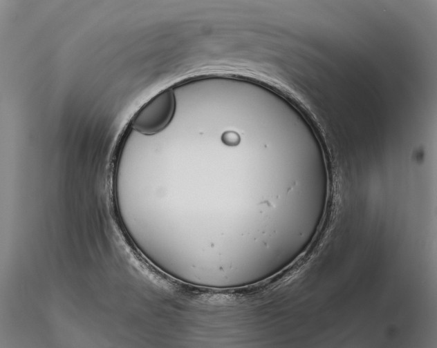 X0000115691517200912031430