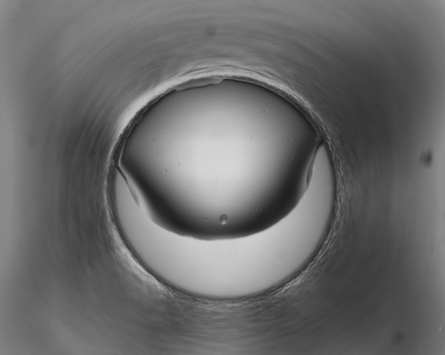 X0000115691518200912031430