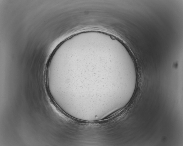 X0000115691519200912031430