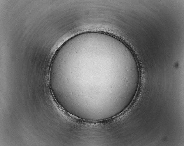 X0000115691521200912031430