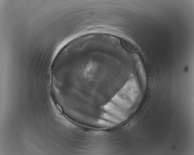 X0000115691522200912031430