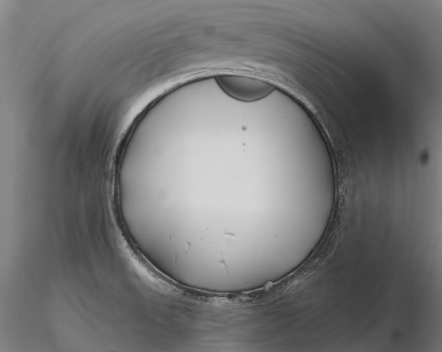 X0000115691523200912031430