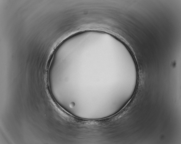 X0000115691525200912031430