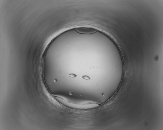 X0000115691526200912031430