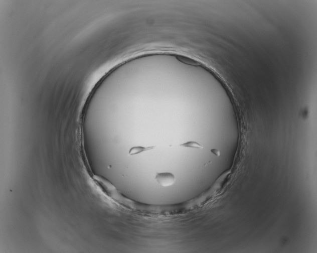 X0000115691527200912031431