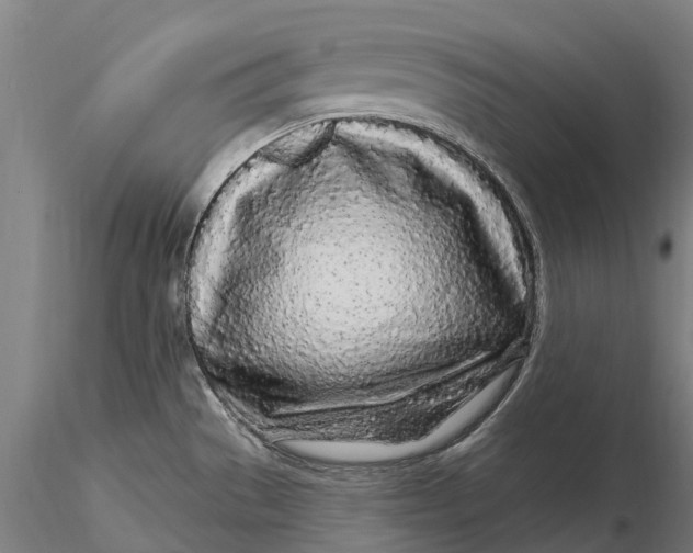 X0000115691529200912031431