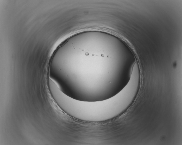 X0000115691530200912031431