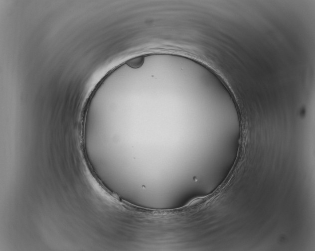 X0000115691531200912031431