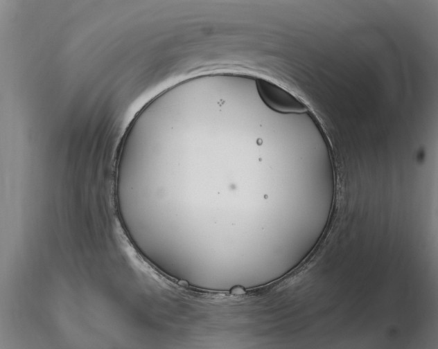 X0000115691534200912031431