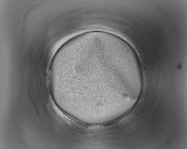 X0000115691535200912031431