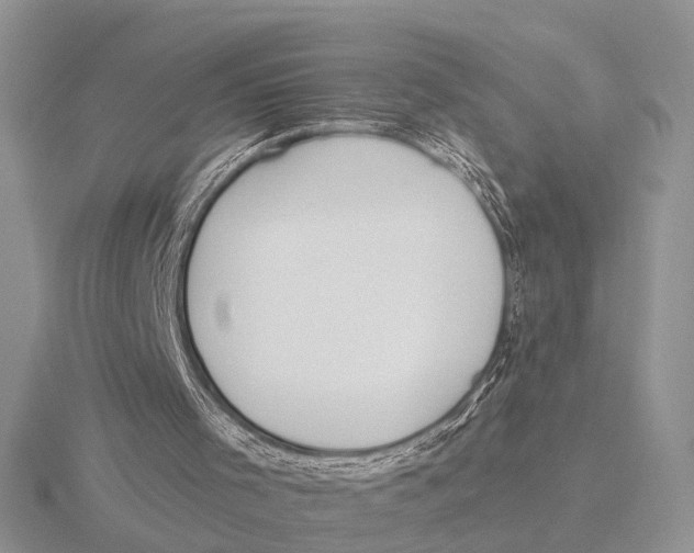 X0000115690001200912101203