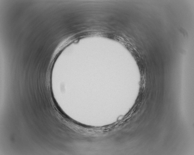 X0000115690004200912101203