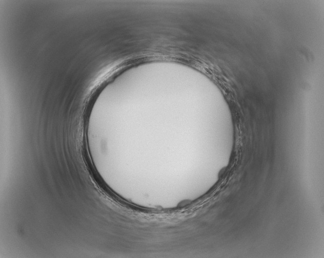 X0000115690005200912101203