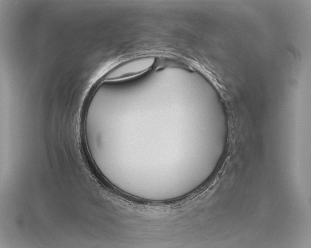 X0000115690008200912101203