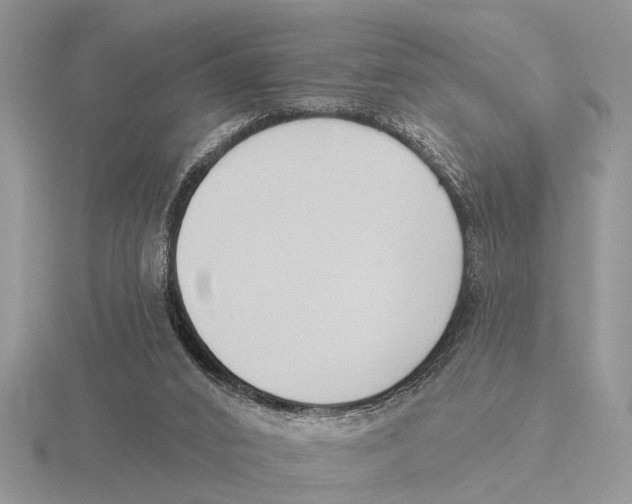 X0000115690016200912101203
