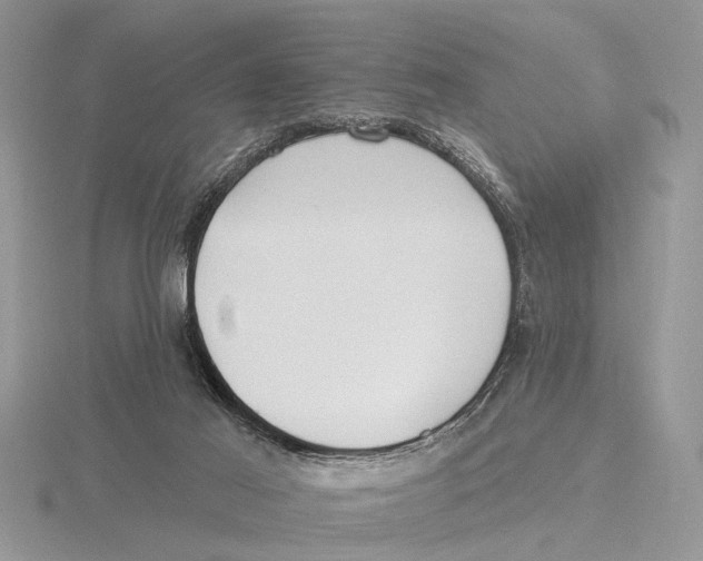 X0000115690021200912101203