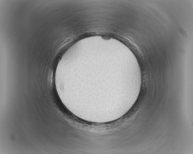 X0000115690024200912101203