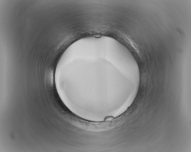 X0000115690027200912101203