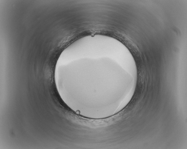X0000115690031200912101203