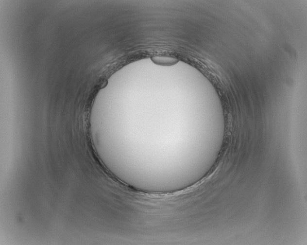 X0000115690037200912101203