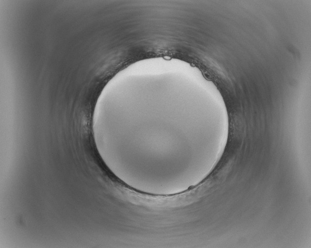 X0000115690039200912101203