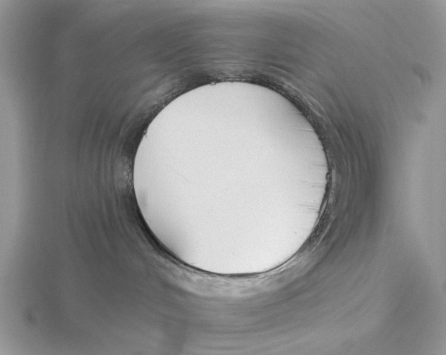 X0000115690048200912101203