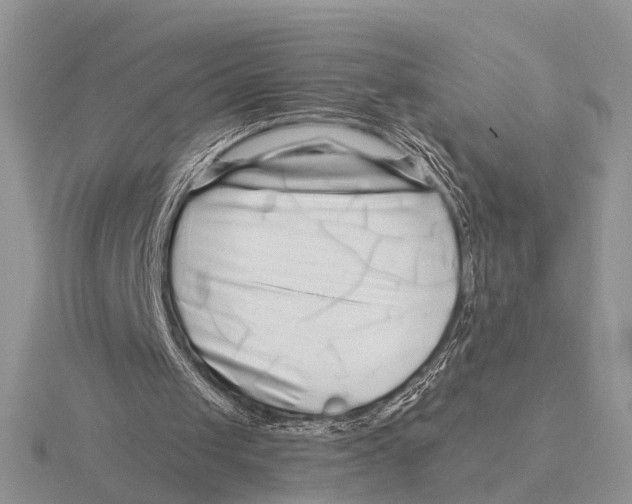 X0000115690049200912101202