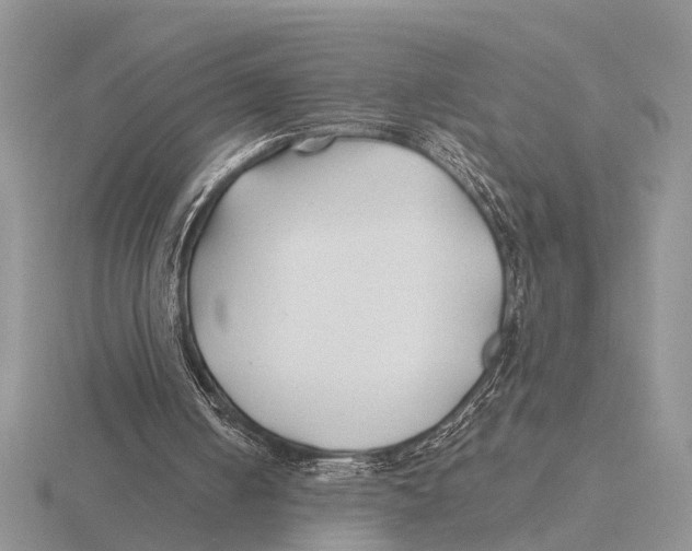 X0000115690050200912101202